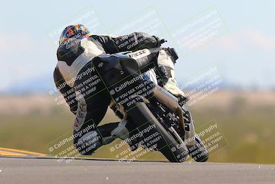 media/Oct-09-2022-SoCal Trackdays (Sun) [[95640aeeb6]]/Turn 9 Backside (120pm)/